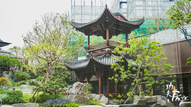 芯“超配”产品总价150万起！OG真人首日登记已破百！禅桂(图45)